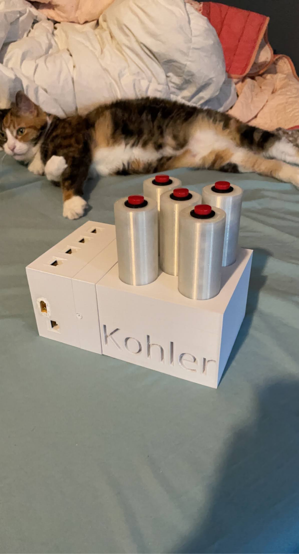 Cat and Jeopardy Buzzer