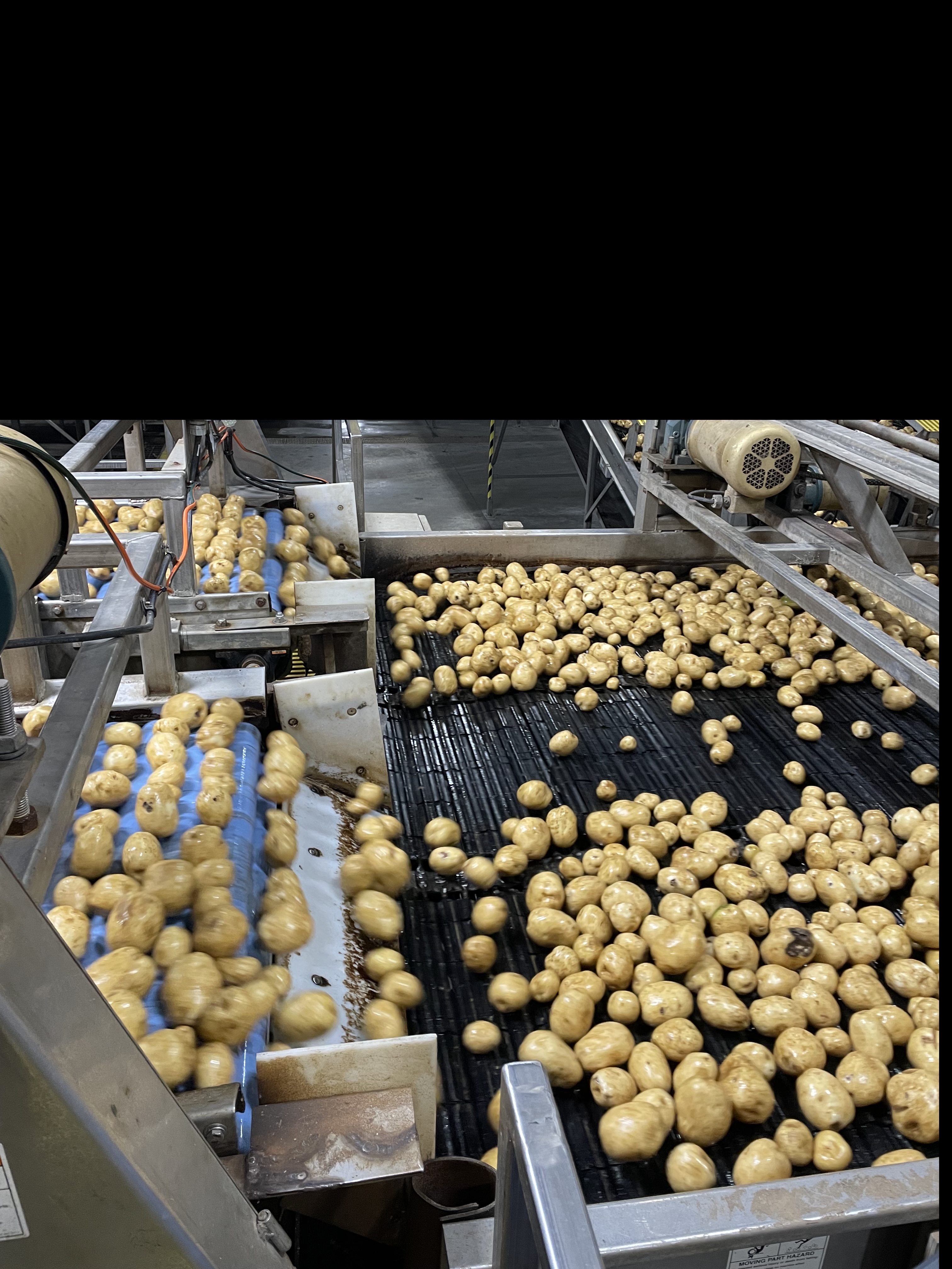Potato Grader